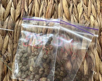 Nasiona Lunaria | Roślina pieniężna w kształcie srebrnego dolara do suszenia DIY