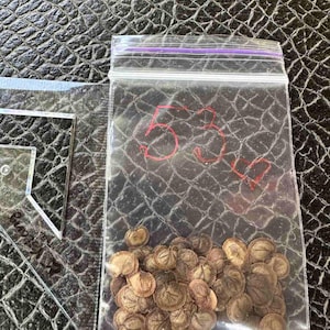 53 Lunaria Seeds | Silver Dollar Money Plant | DIY Dried Flowers | Lunaria Seeds (53 pcs) | Natural Garden Flowers | Rustic Decor