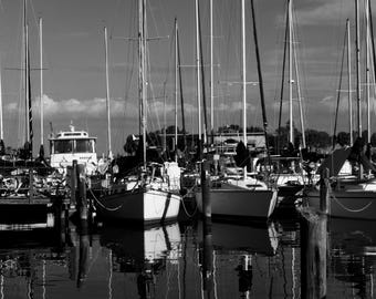 Moorings - Black and White Photograph