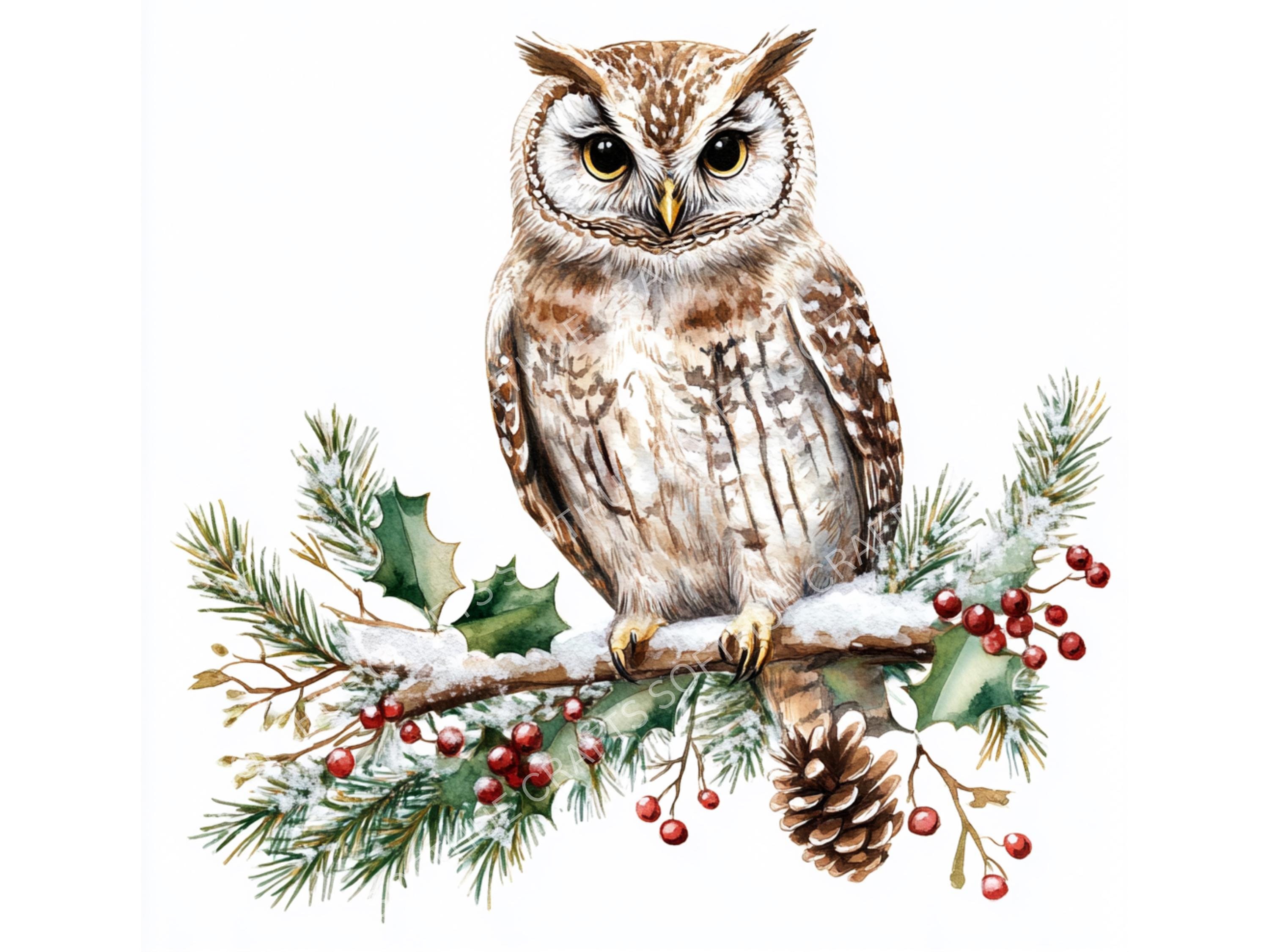 8 Watercolor Christmas Owl Clipart: Festive PNG Illustrations (Digital Download)