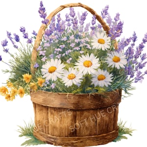 Watercolor Spring Flower Basket Clipart: Daisy, Lavender (PNG Digital Download)