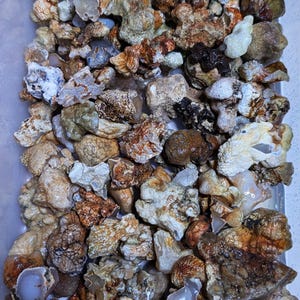 May include: A collection of raw, unpolished stones in a clear container. The stones display a variety of colors, including shades of brown, tan, white, and hints of orange. The textures vary from smooth to rough, with some stones showing crystalline formations.