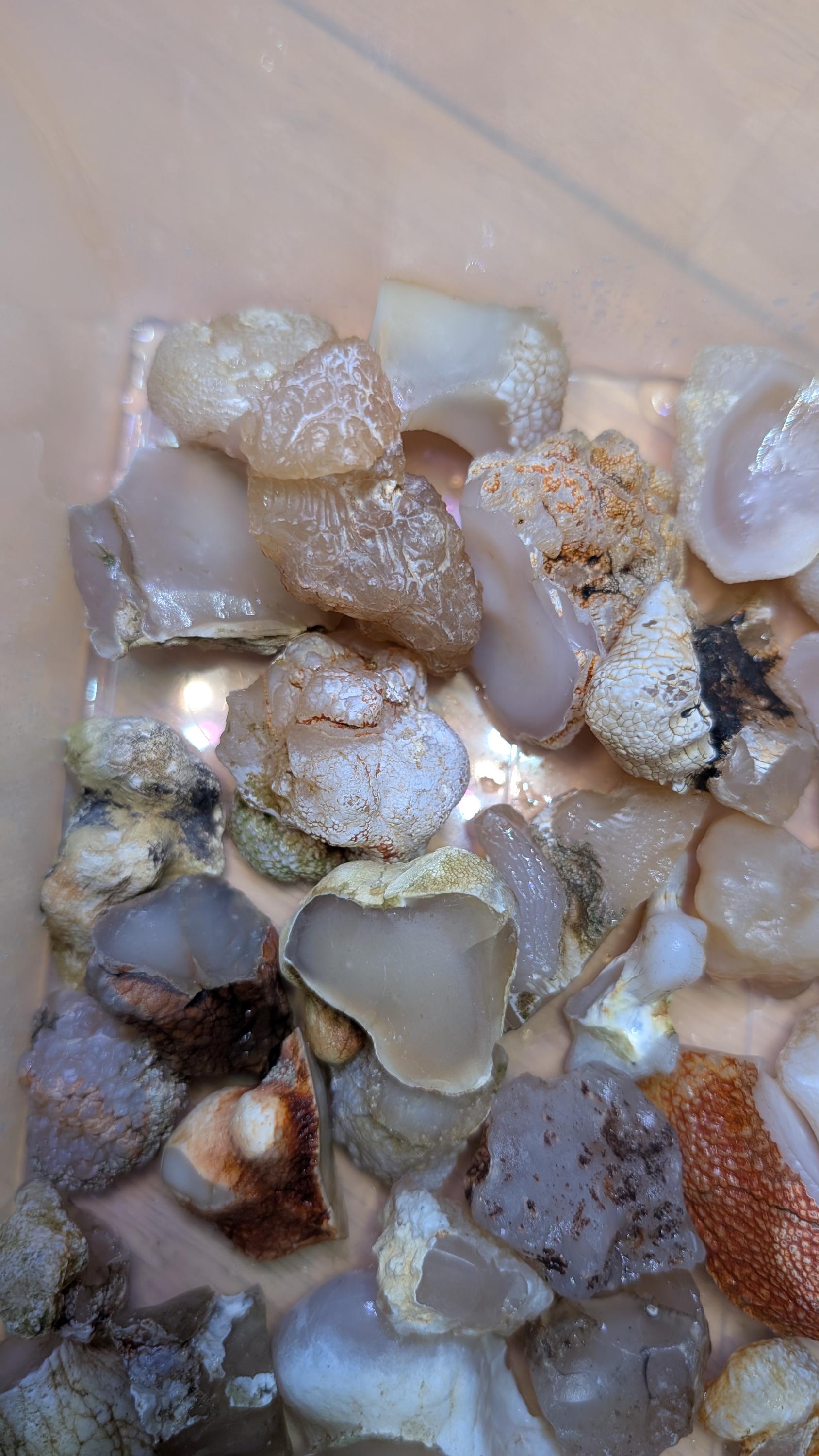 Oregon Agate Rough 1 Lbs Translucent Chalcedony Snakeskin Agate - Etsy