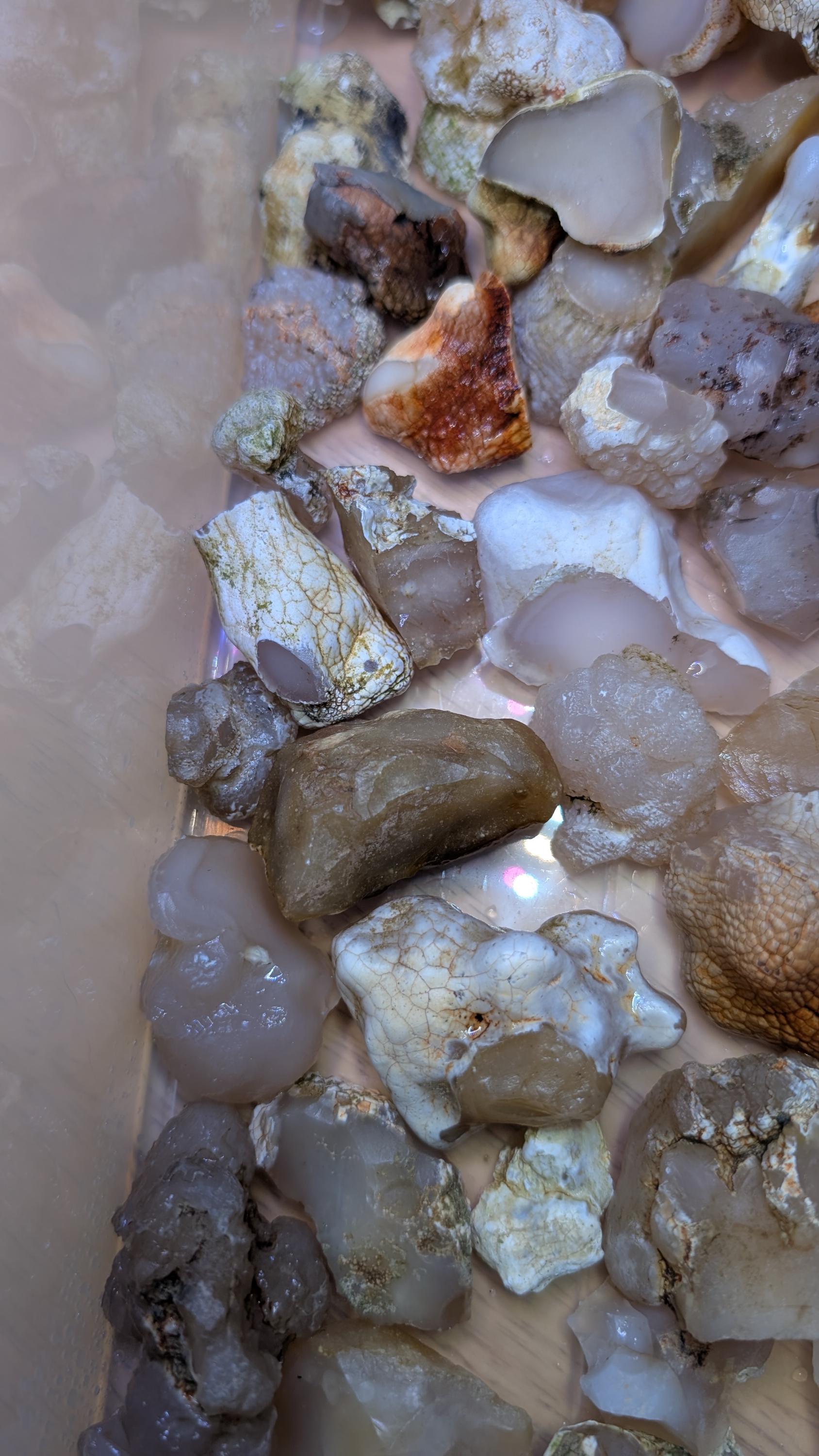 Oregon Agate Rough 1 Lbs Translucent Chalcedony Snakeskin Agate - Etsy
