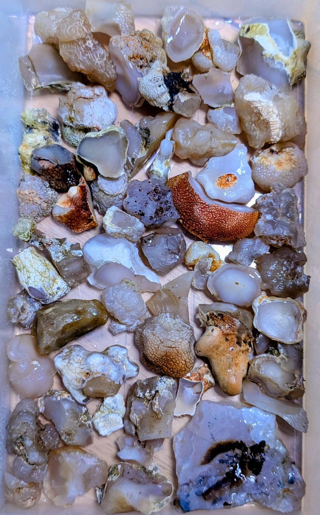 Oregon Agate Rough 1 Lbs Translucent Chalcedony Snakeskin Agate - Etsy
