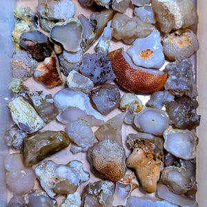 May include: A collection of raw, uncut gemstones in various shapes and sizes. The stones display a range of colors, including beige, brown, and white, with some featuring textured surfaces. The gemstones are contained in a clear plastic container.