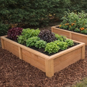 May include: Wooden raised garden beds filled with various plants. The beds are rectangular and made of light brown wood. The plants include green and purple foliage, and the beds are surrounded by brown mulch.