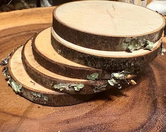 Rustic Birch Wood Slices, Natural Bark Edge Wedding Tags, Ornament Blanks, Craft Discs