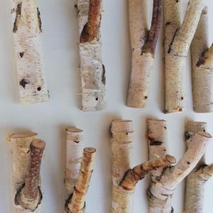 Natural Birch Branch Coat Hook – Rustic Wooden Wall Hook, Handmade Woodland Entryway Decor