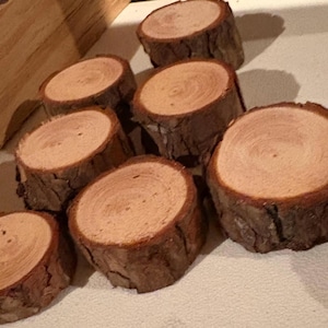 May include: A collection of seven circular wood slices with natural bark edges. Each piece features a light brown, smooth, sanded top surface showing visible wood grain rings, while the sides retain the rough, textured brown tree bark.