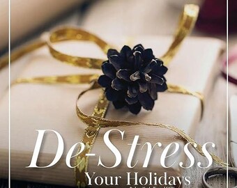 De-Stress Your Holidays: How to Holiday Shop and Remain Stress-Free Digital Booklet