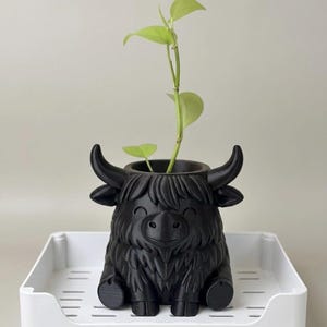 May include: A black, whimsical yak planter with a smiling face, horns, and shaggy fur detail. The planter holds a green plant with several leaves. The planter sits on a white tray.