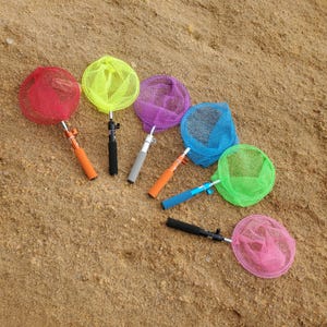 May include: Six telescopic butterfly nets with circular mesh heads in red, yellow, purple, blue, light green, and pink. Each net features a metal extendable handle with a colored foam grip, designed for catching insects or small aquatic creatures.