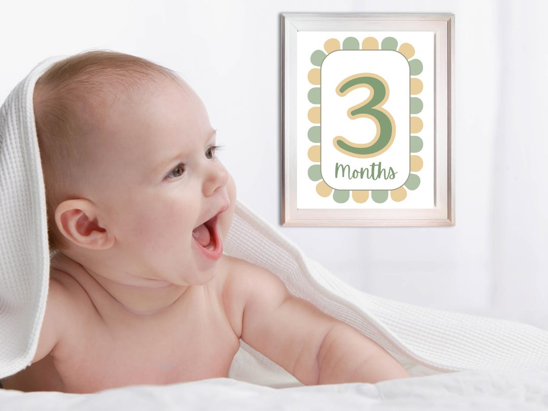Neutral Baby Monthly Milestone Signs, First Year Photo Prop (digital ...