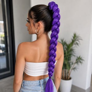 Peut inclure: Une longue tresse épaisse de couleur violette vive, fixée à une queue-de-cheval haute en cheveux brun foncé. La tresse est uniforme, descend le long du dos et est maintenue à la base par un élastique foncé ainsi qu'à son extrémité inférieure.