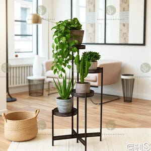 May include: A multi-tiered, dark metal plant stand with four potted plants. The plants include a trailing vine, a cactus, and an aloe vera plant. The stand is on a light-colored rug in a well-lit room.