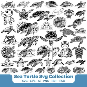 Puede incluir: Una colección de ilustraciones de tortugas marinas en blanco y negro en varias poses, nadando, sentadas, rodeadas de flores tropicales u olas. Varios diseños incluyen espacios con el texto YOUR TEXT HERE.