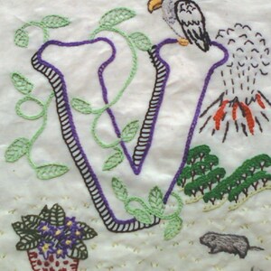 Pode incluir: Letra V bordada com contorno roxo, cercada por videiras verdes. Um pássaro está sentado no topo de um vulcão, e um pequeno rato está no canto inferior direito.