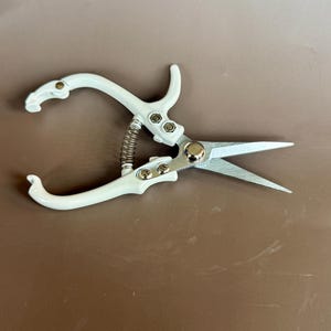 May include: White and silver floral shears with a spring and curved handles. The blades are silver and the handles are white. The shears are designed for cutting flowers and other plants.