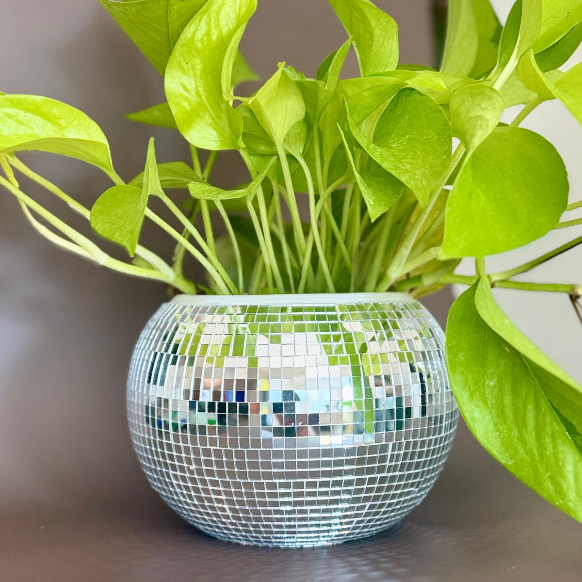 Mirrored Disco Ball Planter - Retro Decor
