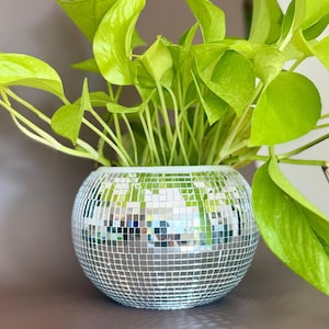 May include: A round, silver mosaic disco ball planter filled with bright green pothos plants. The planter reflects light, creating a shimmering effect. The plant has vibrant, heart-shaped leaves.