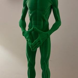 Op de afbeelding: Een staand groen alien-figuur met een groot, glad, ovaalvormig hoofd, donkere amandelvormige ogen en een slank, gespierd postuur. Het figuur heeft lange armen met samengevoegde, langwerpige vingers en staat op een ronde zwarte voet.