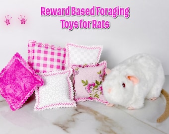 Enrichment Toys for Rats & Small Pets | Reward Based Foraging Sets