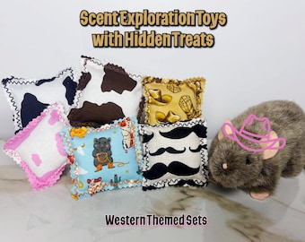 Pet Rat Foraging Toys with Hidden Treats | Scent Based Enrichment