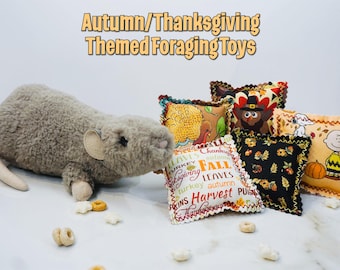 Rat Foraging Toys | Interactive Enrichment | Thanksgiving Small Pet Gift