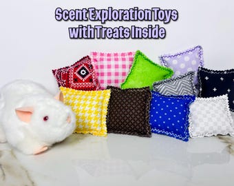 Rat Foraging Toy Sets With Treats | Scent Based Enrichment