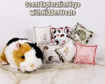 Small Animal Enrichment | Scent-Based Foraging Toys with Hidden Treats