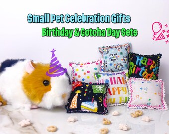 Birthday Gift for Rats & Small Pets | Foraging Enrichment Toys