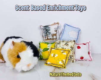 Rat Foraging Toys With Treats | Scent Based Enrichment Activity