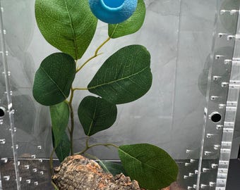 Round Magnetic Top-Mount Spider Hide | 3D Printed Tarantula & Jumping Spider Enclosure Hideout | Arboreal Invertebrate Hide