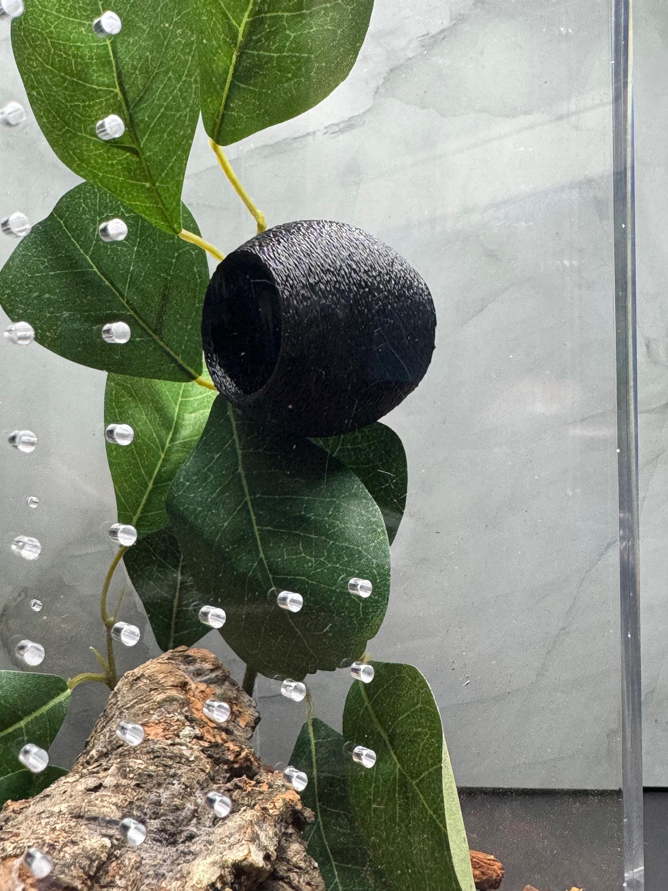 Round Magnetic Spider Hide | 3D Printed Tarantula & Jumping Spider Enclosure Accessory | Magnetic Reptile or Invertebrate Hide - Thumbnail 2