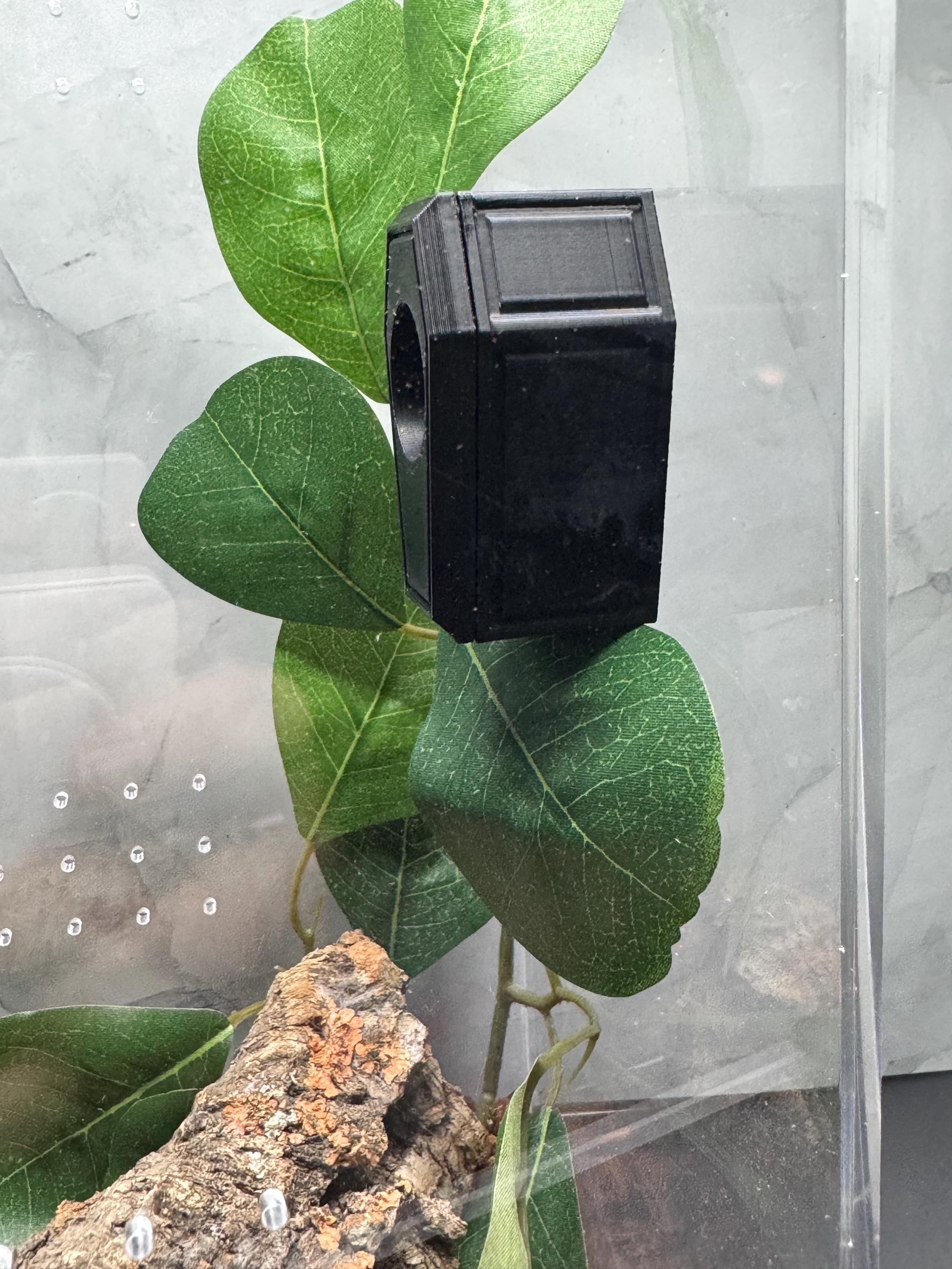 Coffin Magnetic Spider Hide | 3D Printed Tarantula & Invertebrate Enclosure Décor | Gothic Reptile or Arachnid Hideout - Thumbnail 2