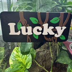 Puede incluir: Un letrero rectangular negro con el texto blanco Lucky en una fuente negrita. El letrero está decorado con ramas marrones similares a enredaderas y pequeñas hojas verdes superpuestas sobre el fondo negro.