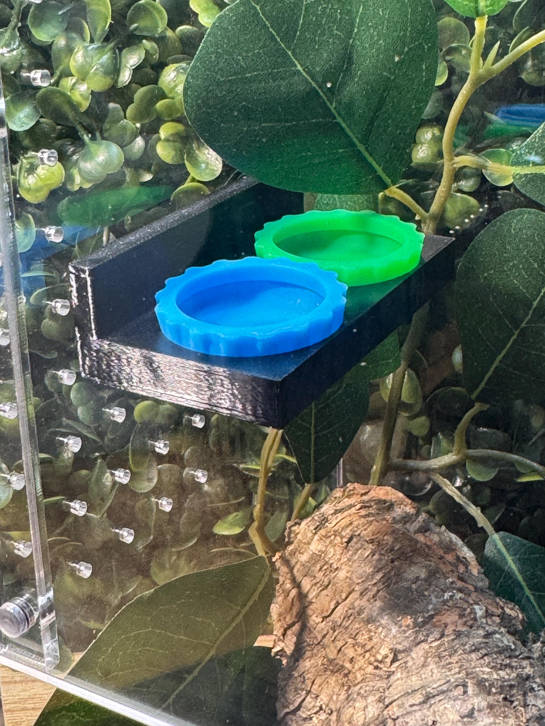 Magnetic Reptile Feeder Cup Holder with 2 Cups | Double Feeding Dish for Geckos, Lizards & Exotic Pets - Thumbnail 4