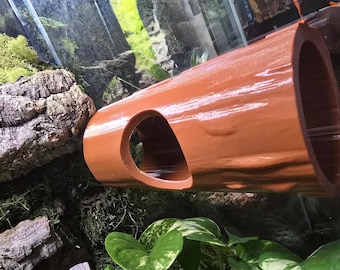 Magnetic Log Hide for Reptiles & Geckos