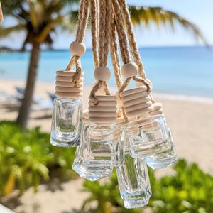 May include: Several small, clear glass bottles with wooden lids and decorative rope hangers. The bottles are hanging in front of a beach scene with green foliage and blue water. The bottles appear to be empty.