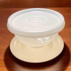 Coupes à dessert Tupperware vintage : bols à parfait givré avec couvercles, lot de 4