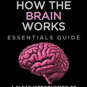 May include: A book cover with the title "HOW THE BRAIN WORKS" in white and pink lettering. Below the title is a pink illustration of a brain. The book is an "ESSENTIALS GUIDE" and promises "A CLEAR INTRODUCTION TO MEMORY, EMOTION, ATTENTION & INTELLIGENCE."