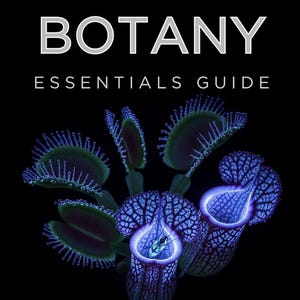 May include: A book cover with the title "BOTANY" and the subtitle "ESSENTIALS GUIDE." The cover features a dark background with glowing blue and green carnivorous plants. The text "A MODERN INTRODUCTION TO PLANT SCIENCE" is also present.