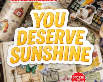 You Deserve Sunshine Sticker Magnet, Heated Rivalry Hockey Romance Vinyl Sticker, Matte or Glossy, Water Resistant Bookish Sticker