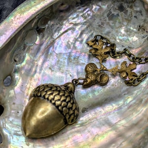 May include: A brass acorn pendant necklace with a detailed acorn charm and oak leaf accents. The necklace rests on a pearlescent, iridescent seashell, creating a nature-inspired theme. The chain is a matching brass color.