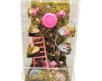 Terrário personalizado para aranha-saltadora em formato de cogumelo rosa, 10x10x24 cm | Habitat pré-fabricado em acrílico para aranhas