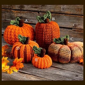 May include: Five crocheted pumpkins labeled A through E, featuring orange and brown yarn textures, green crocheted leaves, and brown stems. Pumpkin A is round, B is tall, C is wide and variegated, D is ribbed, and E is a small round pumpkin.