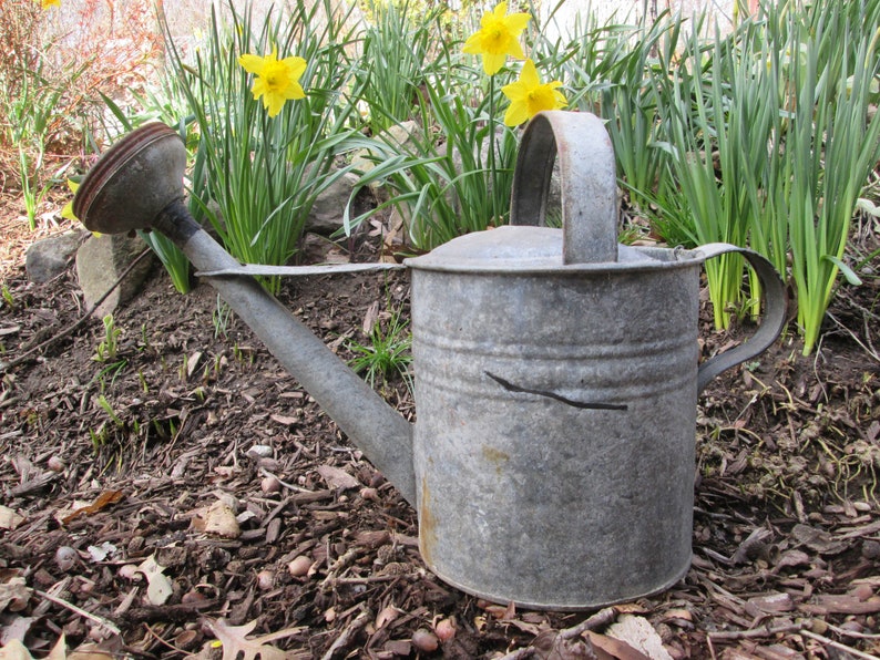 Garten Dekor Gie U00dfkanne 8 Beregnung Can Metall Wasser Kann
