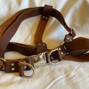 Large step-in harness