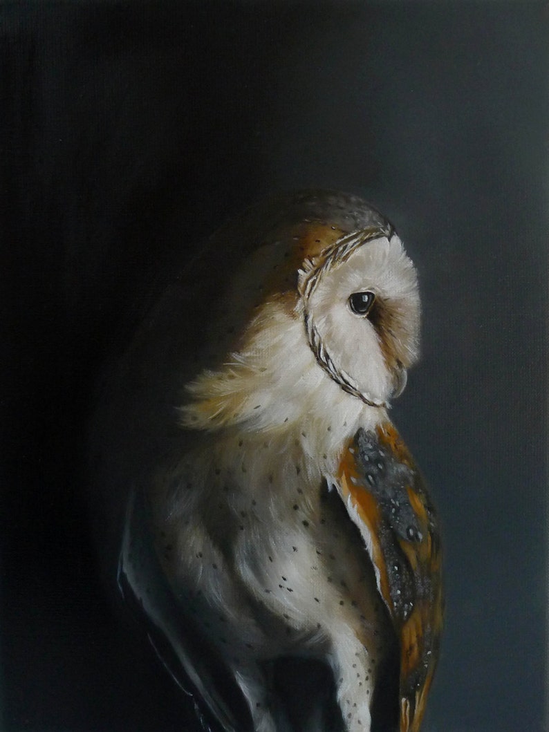 Owl Print Owl Wall Painting Owl Art Barn Owl Owl Art Bird Etsy